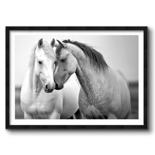 American Dream - Horizontal | Prints by Western Mavrik