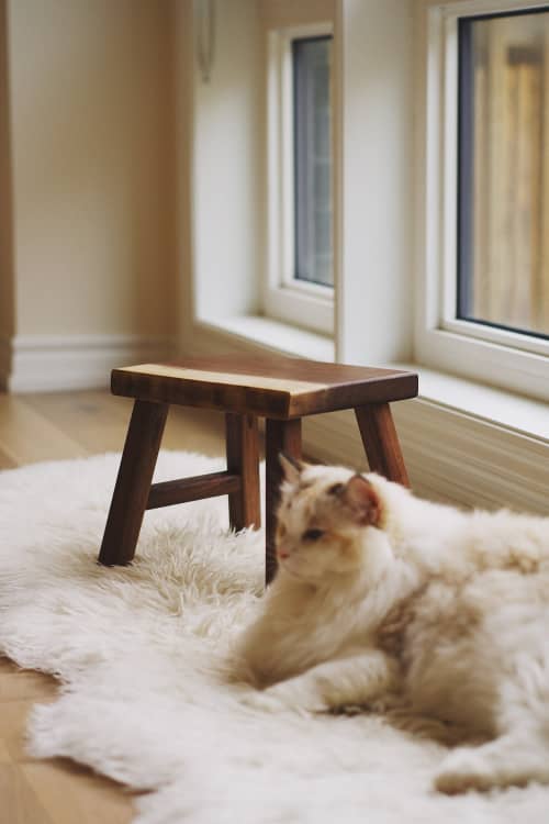 Live Edge Stool | Chairs by ROOM-3. Item made of walnut