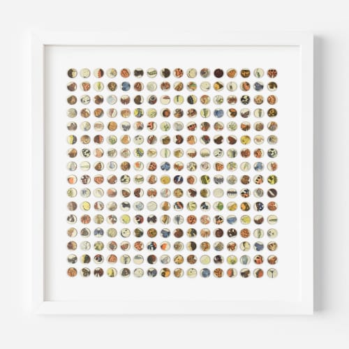 Two Hundred and Fifty Six Butterfly Dots Collage | Paintings by Amelia Coward