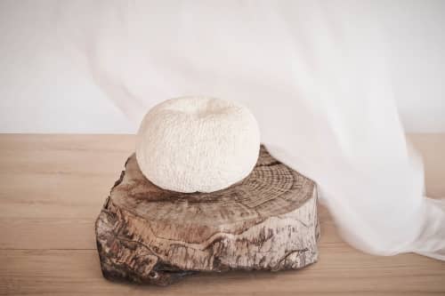Pumpkin | Sculptures by VANDENHEEDE FURNITURE-ART-DESIGN. Item composed of stone compatible with boho and contemporary style