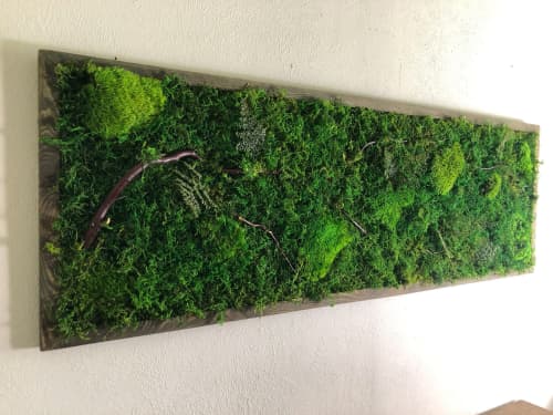 Office Wall Art Living Walls Indoor, Preserved Moss Therapy | Plants & Landscape by Sarah Montgomery