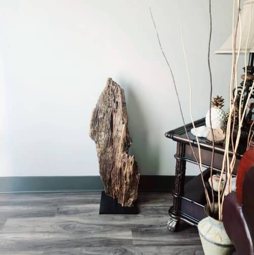 Driftwood Sculpture Art Object "Flapping Away" | Sculptures by Sculptured By Nature  By John Walker. Item composed of wood in minimalism style