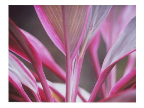 When the colors become sounds | Photography by She Hit Pause. Item composed of paper