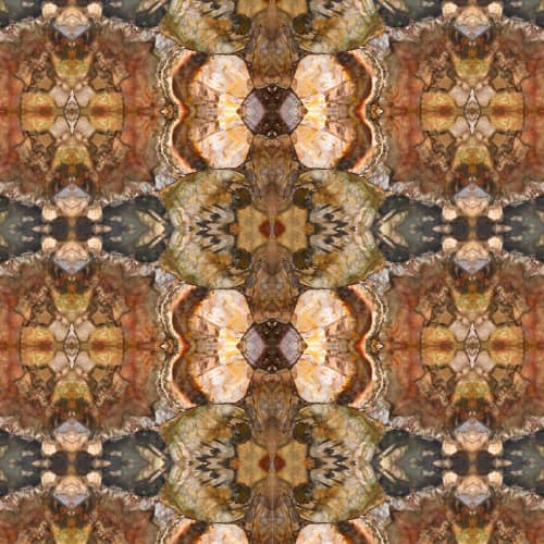 Woodlands | Wallpaper in Wall Treatments by Wallcovetings by Brenda Houston. Item composed of paper