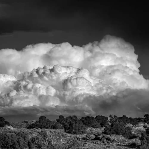 L. Blackwood - Clouds on the Horizon | Photography by Farmhaus + Co.. Item composed of paper