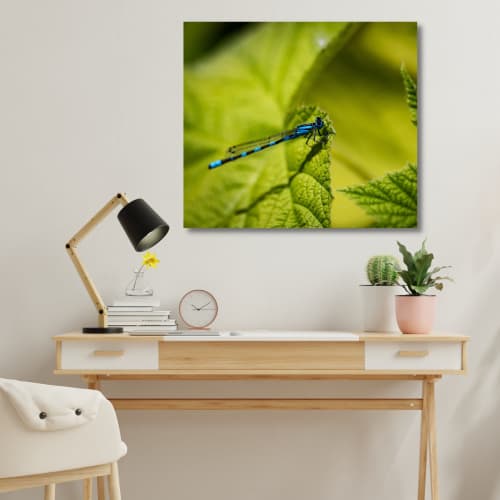 Photograph • Damselfly, Nature Photography, Green, Insect | Photography by Honeycomb. Item made of metal with paper