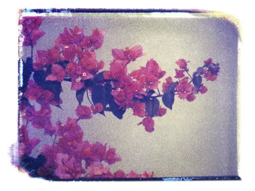 Ecuador Flowers | Photography by She Hit Pause. Item composed of paper
