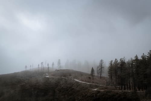 Angeles National Forest | Photography by Korbin Bielski Fine Art Photography