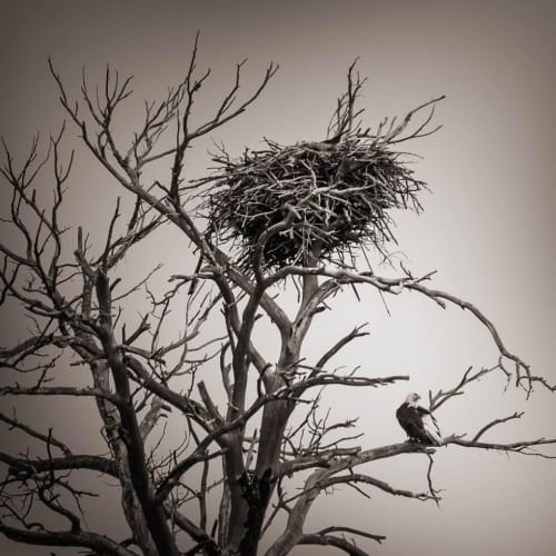 L. Blackwood - Eagle's Nest | Photography by Farmhaus + Co.. Item composed of paper