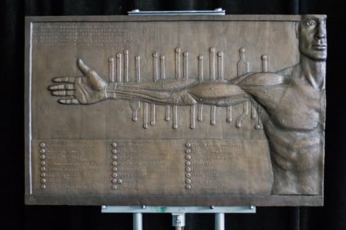 Anatomical Arm Relief Sculpture- Bronze edition 3/25 | Wall Sculpture in Wall Hangings by dellsculpture
