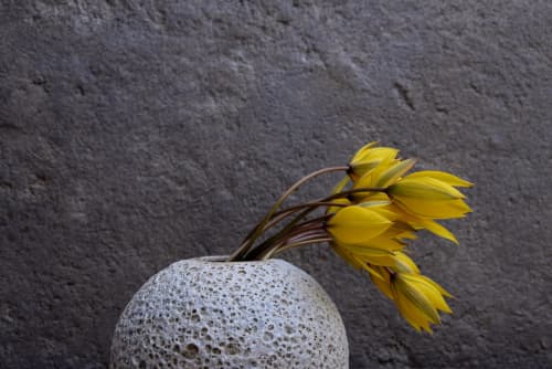 Round Moon vase- sea urchin | Vases & Vessels by Laima Ceramics. Item made of stoneware
