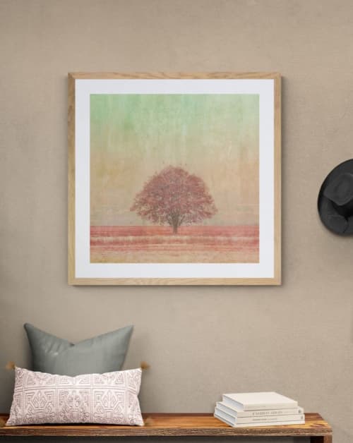 Pink Tree | Photography by Louise O'Gorman