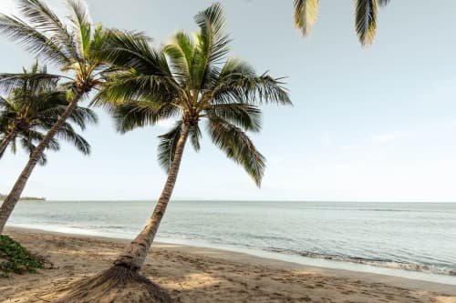 Relaxing Under Palm Trees | Photography by Korbin Bielski Fine Art Photography. Item made of paper