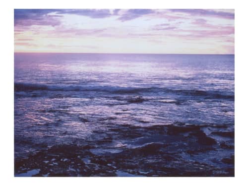 The lavender I tried to tell you about | Photography by She Hit Pause. Item composed of paper