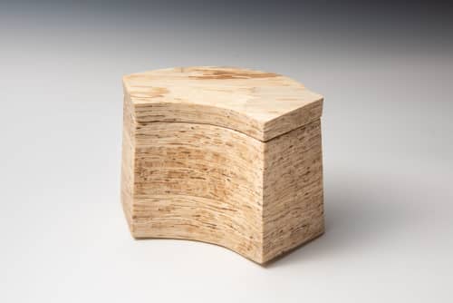 Veneer lumber | Decorative Box in Decorative Objects by Louis Wallach Designs. Item composed of wood