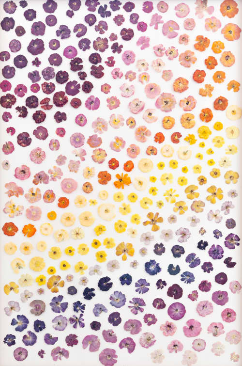 Flower fields Part 1 | Pressing in Art & Wall Decor by Sarah Ebert Art