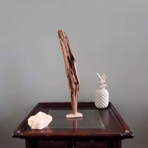 Driftwood Sculpture "Longevity" | Sculptures by Sculptured By Nature  By John Walker. Item made of wood works with minimalism style