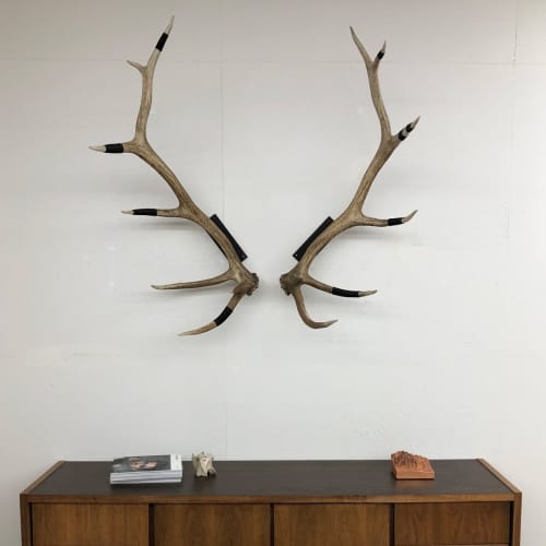 Elk Antler Wall Mounts | Wall Sculpture in Wall Hangings by Farmhaus + Co.. Item made of wood with copper