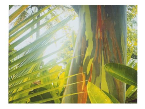 Wooden Rainbow | Photography by She Hit Pause. Item composed of paper