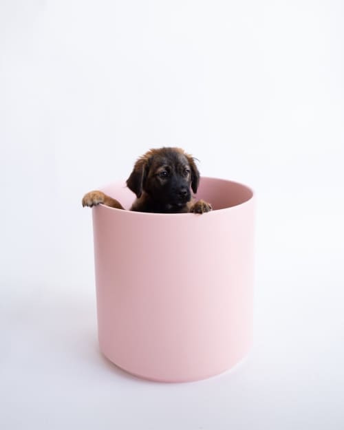 The Ten in Blush by LBE Design | Planter in Vases & Vessels by LBE Design | Little Leaf in Washington. Item made of ceramic