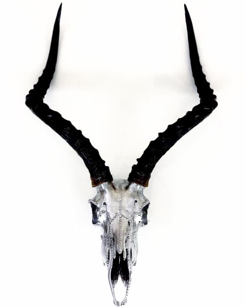 Impala African Skull | Ornament in Decorative Objects by Gypsy Mountain Skulls. Item made of wood compatible with contemporary and country & farmhouse style