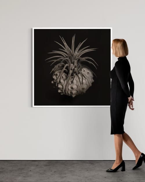 Ethereal Bloom | Photography by Tal Shpantzer | Talfoto Studio. Item compatible with minimalism and contemporary style