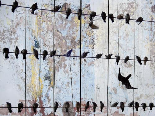 Spring birds II | Oil And Acrylic Painting in Paintings by Irena Orlov. Item composed of canvas