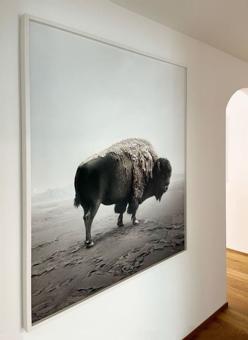 Be Here Bison | Photography by Alice Zilberberg