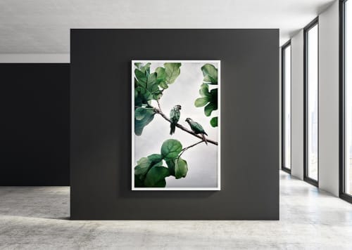 Comfort Me Conures | Photography by Alice Zilberberg. Item composed of paper