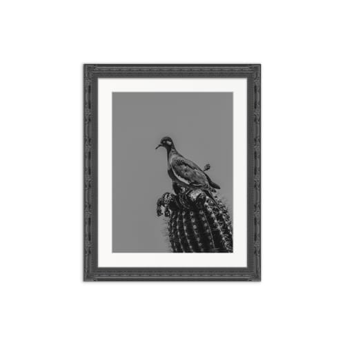 PERCH | B&W | Southwest Photography | Minimalist Print | Photography by Jess Ansik. Item made of paper works with minimalism & eclectic & maximalism style