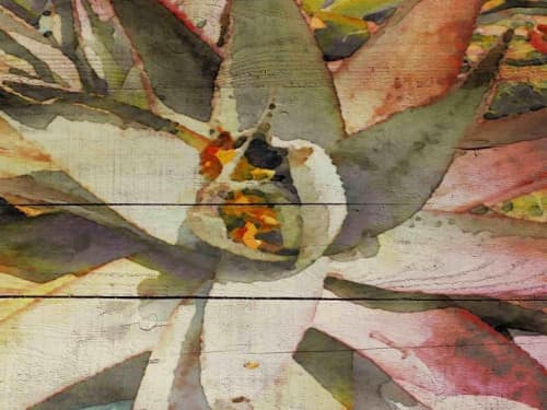 Succulent Melody | Oil And Acrylic Painting in Paintings by Irena Orlov. Item made of canvas with synthetic