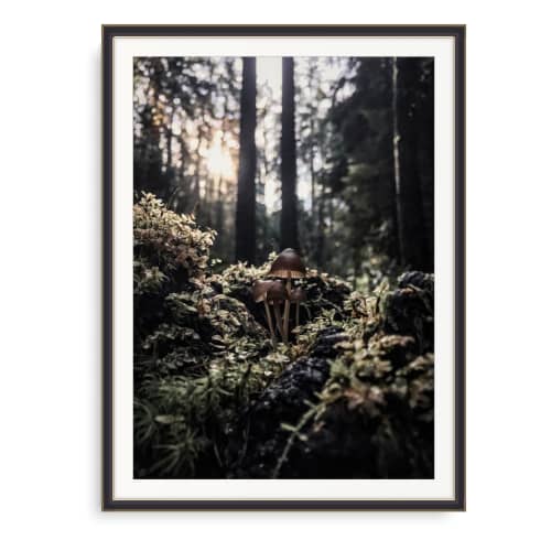 FUNGI (9"x12" - 36"x48") I PNW I Nature Print I Wall Art | Photography by Jess Ansik. Item composed of paper in boho or contemporary style