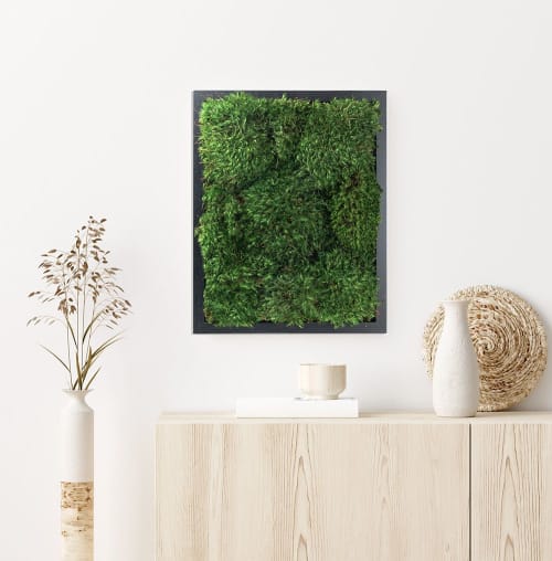 100% Live Moss Wall Art in Black | Decorative Objects by Moss Pure. Item made of wood compatible with contemporary and industrial style