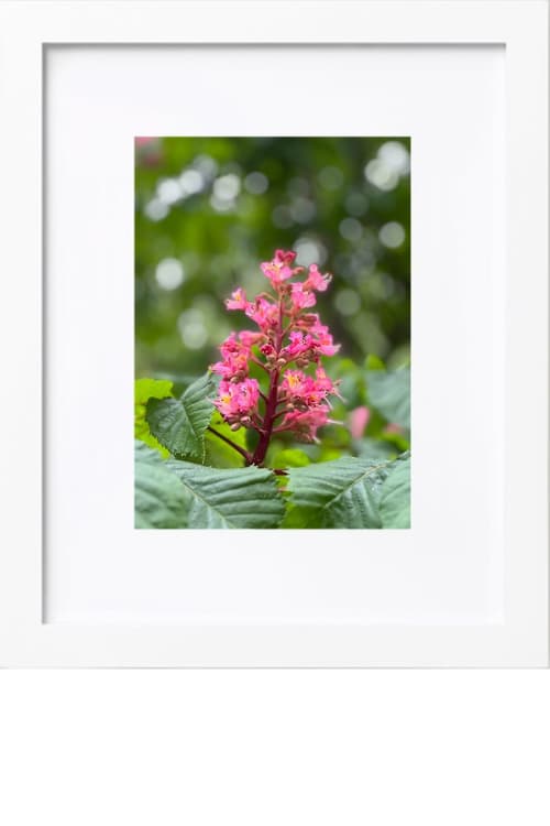 Stillness Whispers | Photography by KNOF design. Item in contemporary or country & farmhouse style