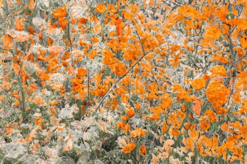 EARLY RISER (18"x12" — 60"x40") | Wall Art | Fine Art Print | Digital Art in Art & Wall Decor by Jess Ansik. Item composed of metal & paper compatible with transitional style