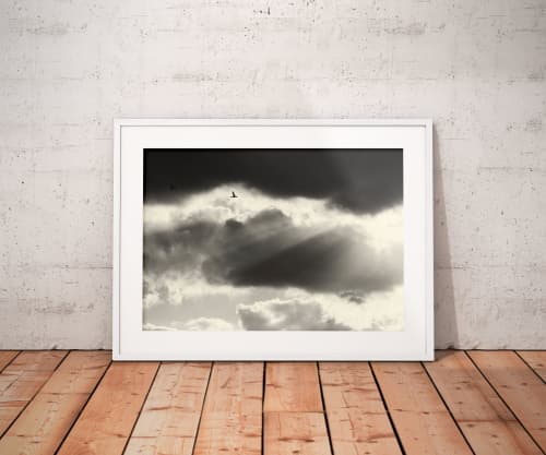 Two | Limited Edition Print | Photography by Tal Paz-Fridman | Limited Edition Photography. Item composed of paper compatible with country & farmhouse and coastal style