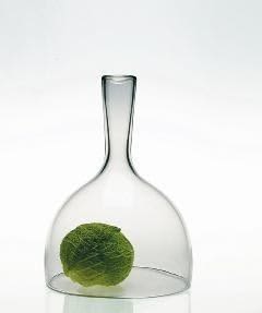 Cloche | Flask in Vessels & Containers by Esque Studio. Item composed of glass