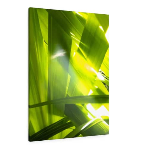 Sunkissed_3607  --  the life-giving energy of nature | Prints in Paintings by Petra Trimmel. Item made of canvas & paper
