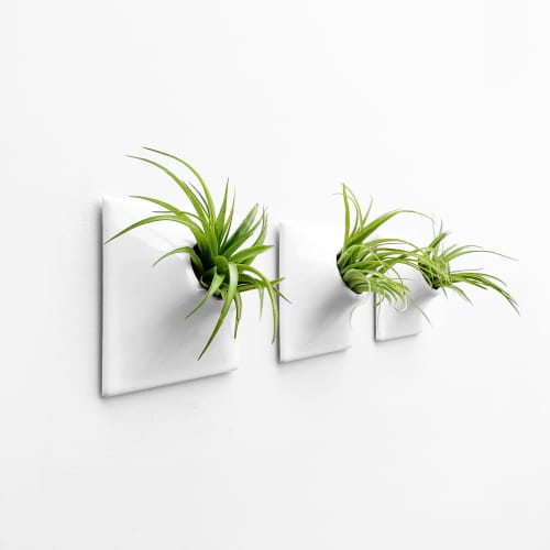 Node S Wall Planter, 6" Modern Plant Wall Set, White | Plant Hanger in Plants & Landscape by Pandemic Design Studio. Item made of stoneware compatible with minimalism and mid century modern style