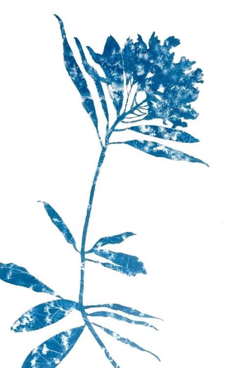 Rhododendron Branch IV (18 x 12" cyanotype painting) | Watercolor Painting in Paintings by Christine So. Item made of paper works with boho & country & farmhouse style