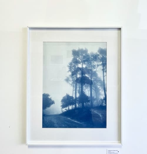 Caminante No Hay Camino (18 x 24" Hand-Printed Cyanotype Pho | Photography by Christine So. Item composed of paper in boho or country & farmhouse style
