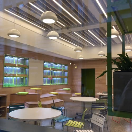 Chroma Pendant | Pendants by CP Lighting | Blue School in New York. Item made of synthetic