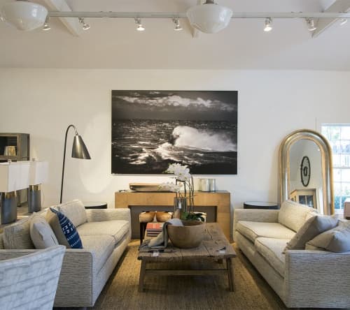 Fury | Prints by Dalton Portella. Item made of aluminum