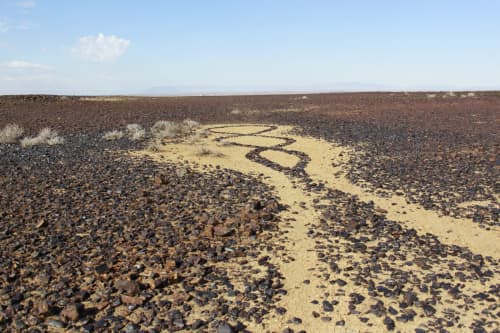 "DNA of the veld" | Public Sculptures by Janet Botes. Item composed of stone