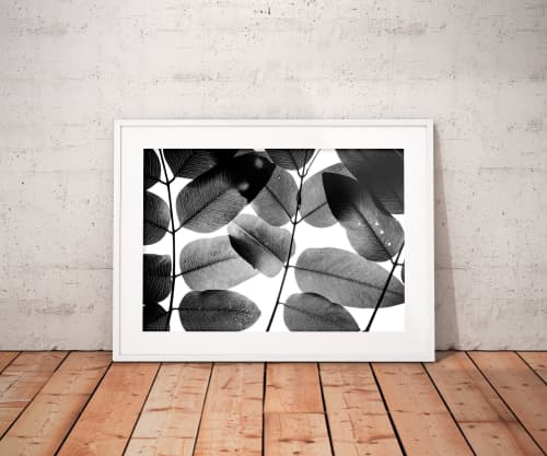 Experiments with Leaves II | Limited Edition Print | Photography by Tal Paz-Fridman | Limited Edition Photography. Item made of paper compatible with minimalism and contemporary style