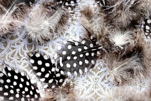 White dot feather | Oil And Acrylic Painting in Paintings by Irena Orlov. Item made of canvas with synthetic