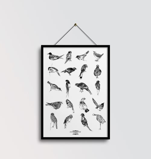 An Illustrated Guide to Birds | Prints by Chrysa Koukoura. Item composed of paper