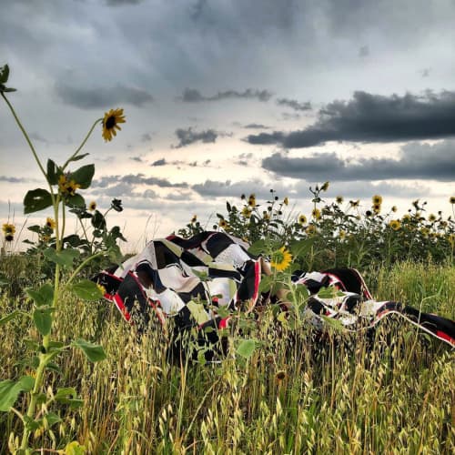 Log Cabin Series Quilt | Linens & Bedding by Luke Haynes. Item made of fabric