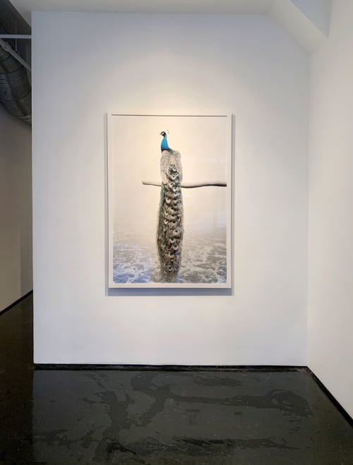 Patience Peacock | Photography by Alice Zilberberg | Tinney Contemporary in Nashville. Item made of paper