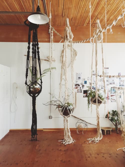 Microsoft Plant Hangers 16' | Plants & Landscape by Modern Macramé by Emily Katz. Item made of cotton